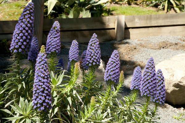 Aménagez votre espace avec des bureaux professionnels de qualité