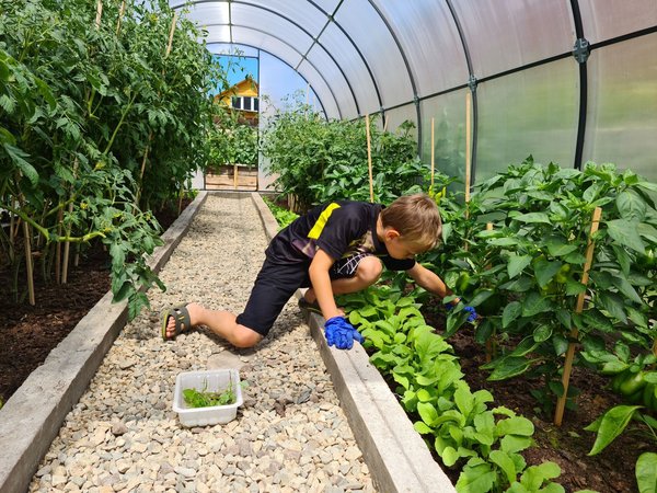 Quels intérêts de construire des bordures de jardin en plastique ?